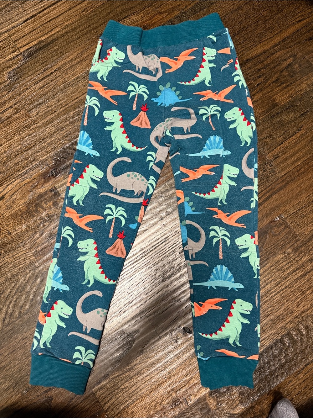 Little Sleepies Play Joggers in Size 7 Dino Print